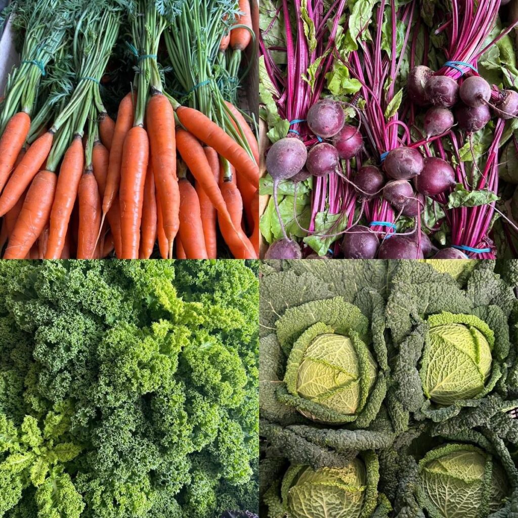 our produce at harkers farm our produce at harkers farm